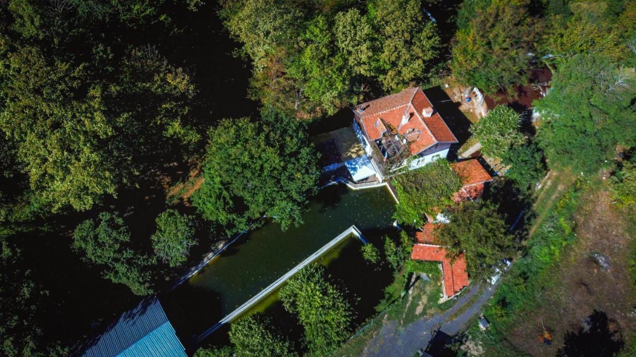 Рибарник Forest Мagic Topolitsa Ngoại thất bức ảnh