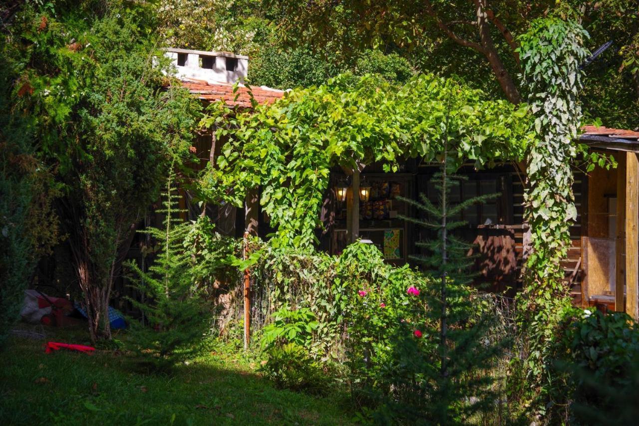 Рибарник Forest Мagic Topolitsa Ngoại thất bức ảnh